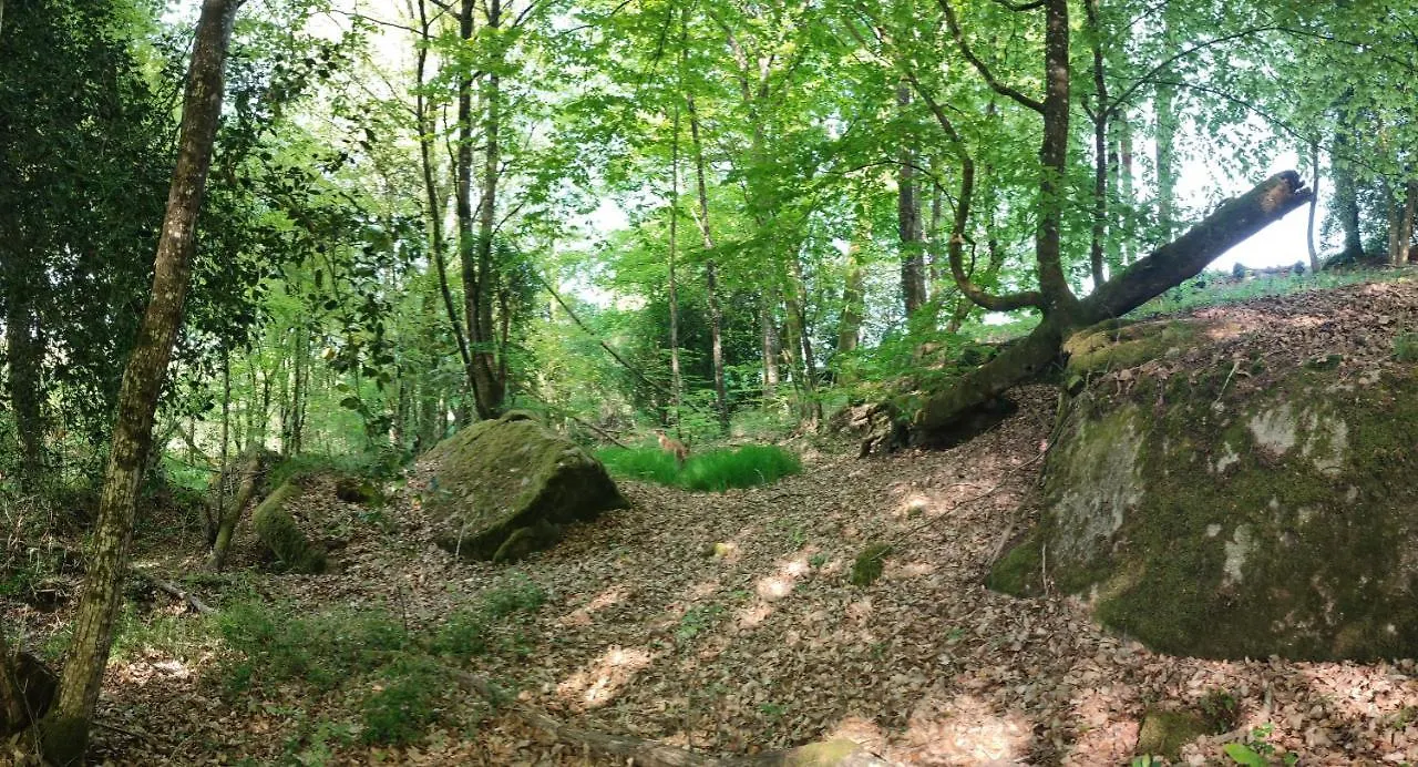 Le Domaine Des Roches' L Villa Gommené Frankrike